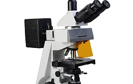 Микроскоп люминесцентный: цена высока, но оправданна