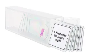 Набор микропрепаратов Levenhuk Discovery Prof DPS 5. «Амфибия», изображение 5