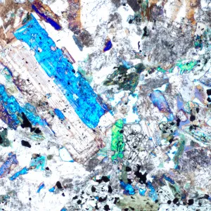 Микроскоп поляризационный цифровой MAGUS Pol D850 LCD, изображение 25