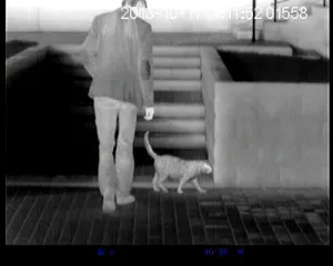 Тепловизор Quantum HD19S (Pulsar), изображение 4