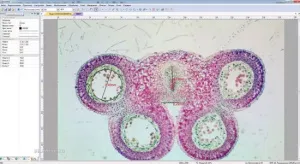 Видеоокуляр ToupCam 10 Мпикс (U3CMOS10000KPA), изображение 3