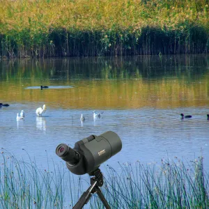 Зрительная труба SVBONY SV41 25–75x70 MAK WP со штативом, изображение 14