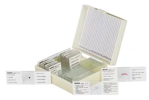 Набор микропрепаратов Konus 10: «Естественные науки», изображение 2