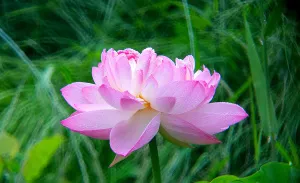 Фототелескоп Levenhuk Kelvin MAK80 AZ, изображение 18