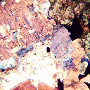 Микроскоп поляризационный цифровой MAGUS Pol D800, изображение 20